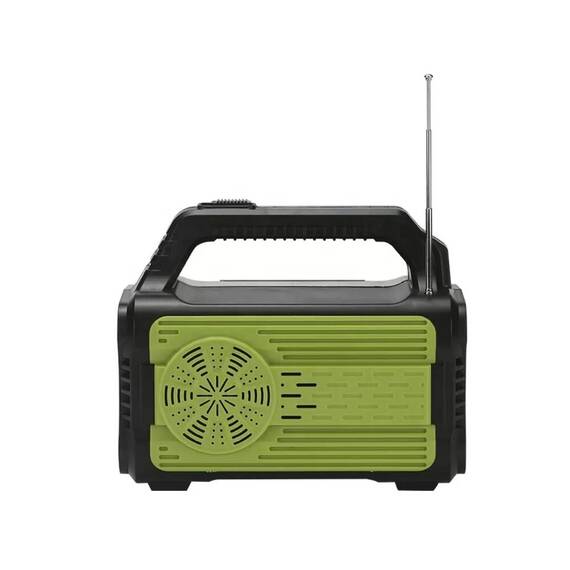 Kit cu panou solar fotovoltaic inteligent cu Bluetooth : Culoare - negru/verde, Culoare (tm): negru/verde - 5- Roveli
