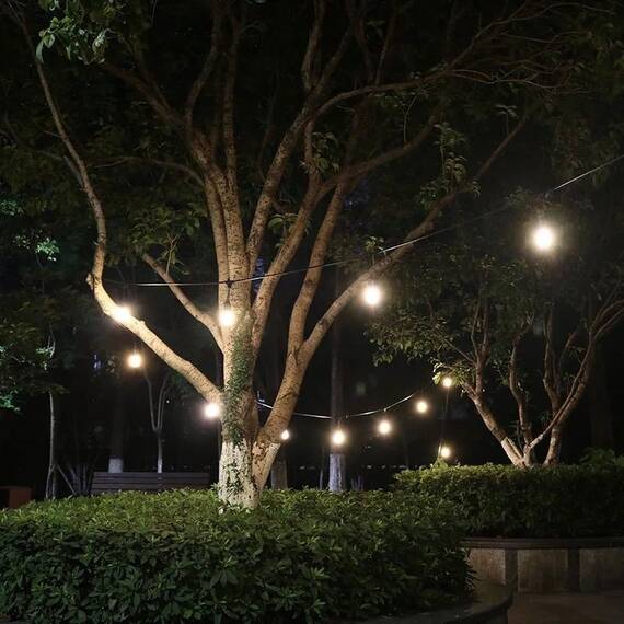 Ghirlanda luminoasa cu pendule, 10m cu 20 becuri, interconectabila, 220V : Tip lumina - Calda, Tip lumina (tm): Calda - 9- Roveli