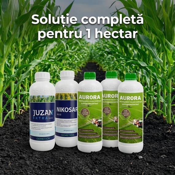 Pachet Porumb Nikosar 1L + Juzan 1L + Aurora 3L - 1 Ha | Acvilanis - 2- Roveli