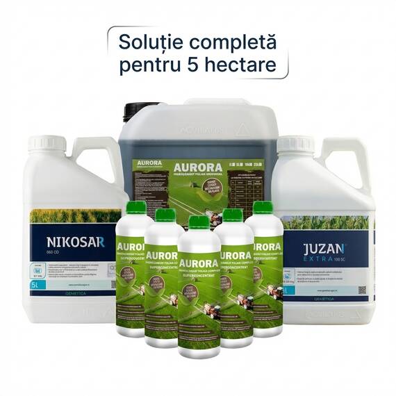 Pachet Porumb Nikosar 5L + Juzan 5L + Aurora 15L - 5 Ha | Acvilanis - - Roveli