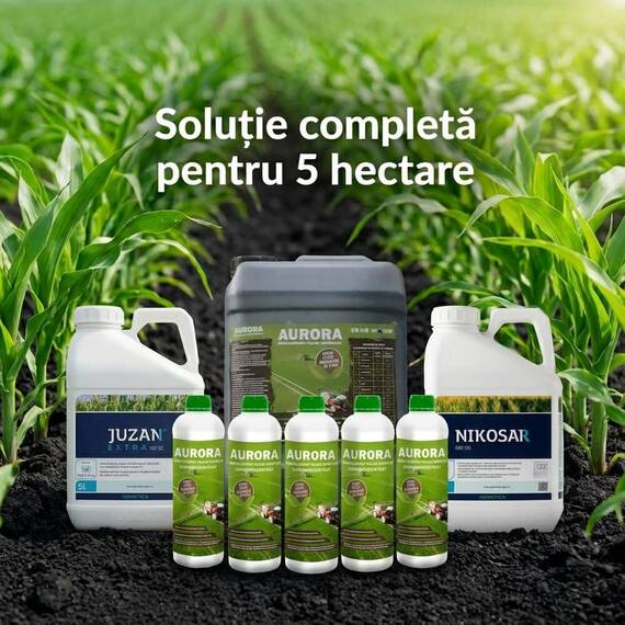 Pachet Porumb Nikosar 5L + Juzan 5L + Aurora 15L - 5 Ha | Acvilanis - 2- Roveli