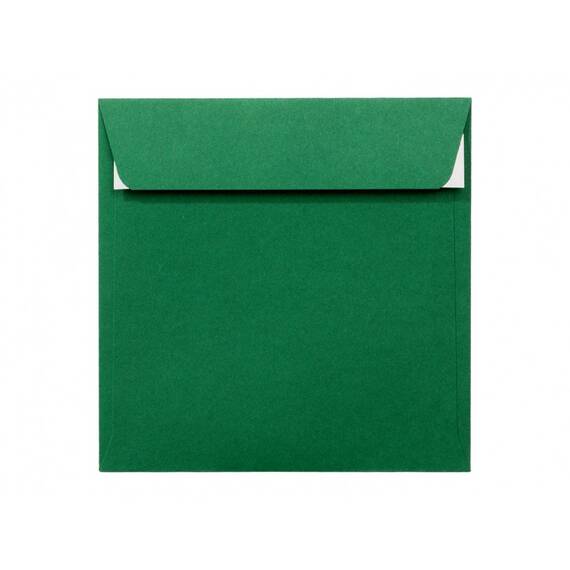 Plic color, 14 x 14 cm, Verde Padure, siliconic, DACO, 25 buc/set - - Roveli