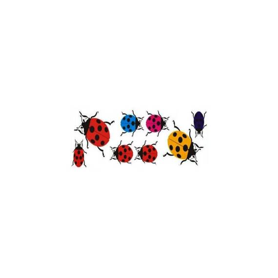 Abtibild Buburuze diverse culori auto decorativ pentru exterior si interior Cod: DZ-5 - - Roveli
