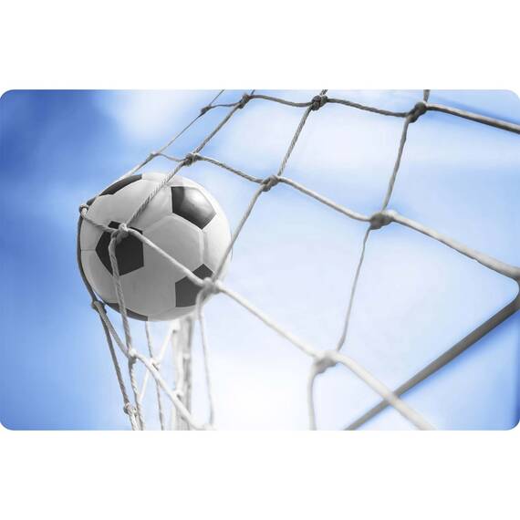 Plasa poarta fotbal Neo-Sport, 300 x 200 x 90 cm, polietilena, rezistenta UV exterior, cabluri montaj incluse, alba - 6- Roveli