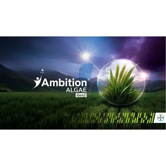 Ambition ALGAE Gen2 Bayer 1L - Biostimulator pe baza de Alge Marine - - Roveli