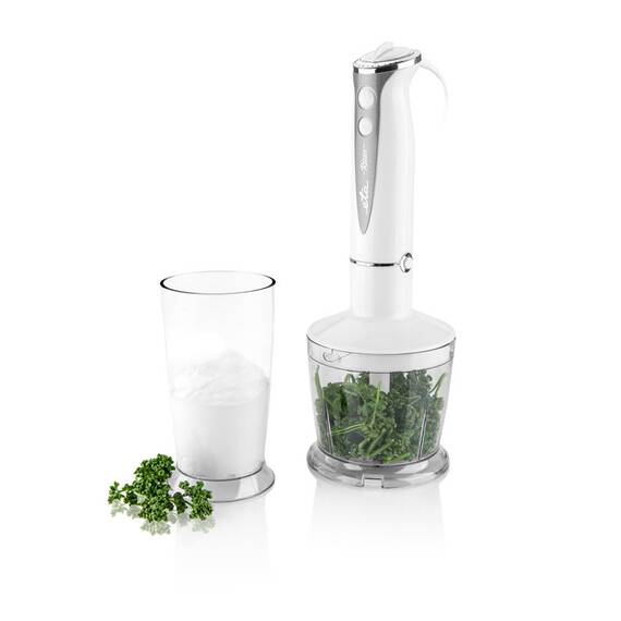 Blender de mana ETA RIZZO 3057, 400W, 5 viteze + TURBO, lame si elemente din otel inoxidabil - 6- Roveli