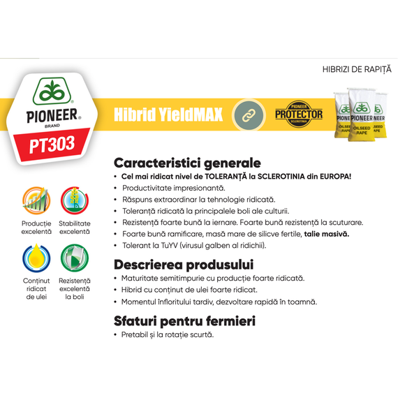 PT303 Seminte Rapita grupa Protector tratat LUMIGEN premium insecticid (Lumiposa) sac 2mln seminte - 2- Roveli