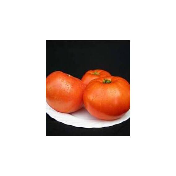 Seminte tomate Mirsini F1 1 GR - - Roveli