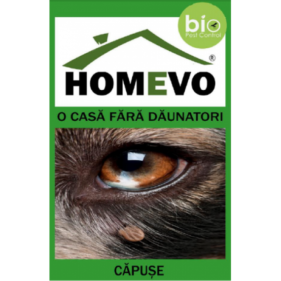 Tratament ecologic anticapuse animale Homevo - - Roveli