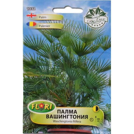 Seminte flori Palmier Washington/ Washingtonia filifera 1 gr - - Roveli