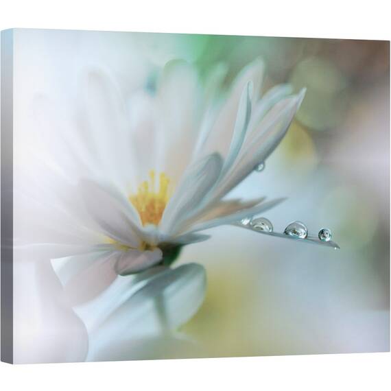 Tablou canvas - Atingere Usoara, Macro, Inchis, Cadere, Apa, Floare, Reflectie, 60 x 75 cm - - Roveli