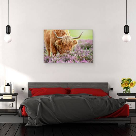Tablou canvas - Bivol in Campie de Flori, Vaca, Bovine, Taur, Animal, Claxoane, Rural, 60 x 90 cm - 3- Roveli
