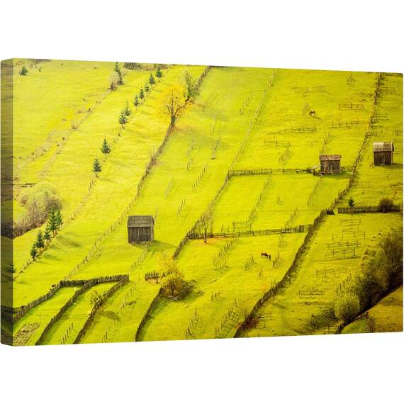 Tablou canvas - Geometric, Sadova, Romania, Toamna, Verde, Rural, Rural, 50 x 80 cm - - Roveli
