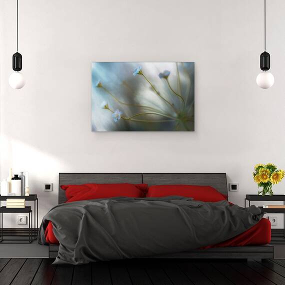 Tablou canvas - Jasmine, Floare, Flora, Floral, Iasomie, Macro, 40 x 60 cm - 3- Roveli