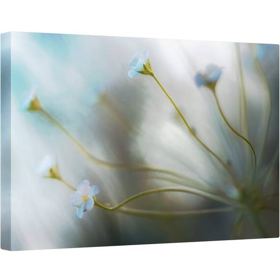 Tablou canvas - Jasmine, Floare, Flora, Floral, Iasomie, Macro, 60 x 90 cm - - Roveli