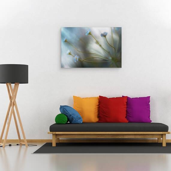 Tablou canvas - Jasmine, Floare, Flora, Floral, Iasomie, Macro, 60 x 90 cm - 2- Roveli