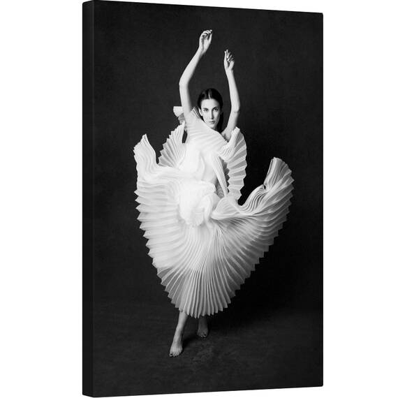 Tablou canvas - Lacul Lebedelor, Portret, Lacul Lebedelor, Inger, Rochie, Moda, Alb-Negru, 40 x 60 cm - - Roveli