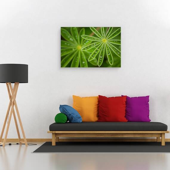 Tablou canvas - Lupin, Floare, Israel, Picaturi, Apa, Ploaie, 80 x 120 cm - 2- Roveli