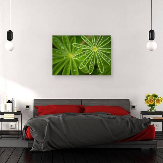 Tablou canvas - Lupin, Floare, Israel, Picaturi, Apa, Ploaie, 80 x 120 cm - 3- Roveli