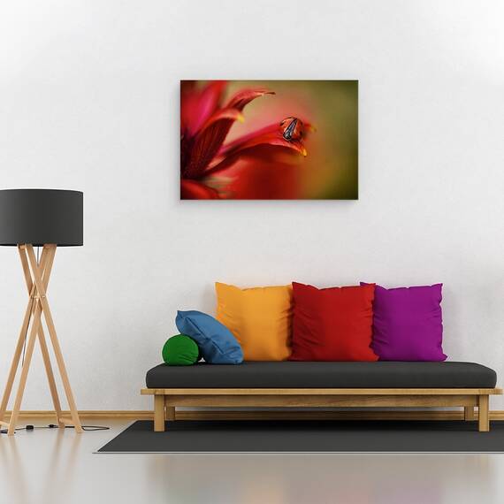 Tablou canvas - Pur si Simplu Rosu, Rosu, Gargarita, Pasiune, Floare, 60 x 90 cm - 2- Roveli