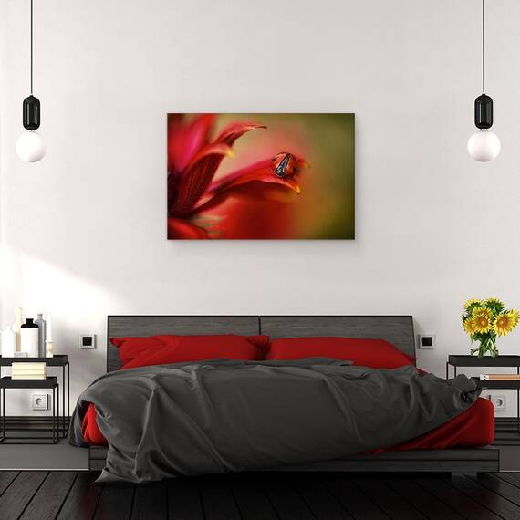 Tablou canvas - Pur si Simplu Rosu, Rosu, Gargarita, Pasiune, Floare, 60 x 90 cm - 3- Roveli