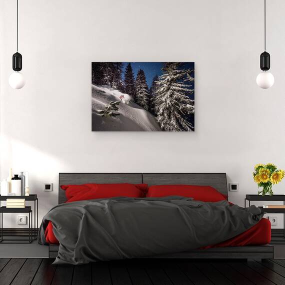 Tablou canvas - Schior, Actiune, Zapada, Pomi, Panta, Schior, 40 x 60 cm - 3- Roveli