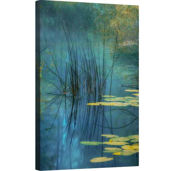 Tablou canvas - Apa, Crin, Lac, Planta, Stuf, Nufar, 60 x 90 cm - - Roveli