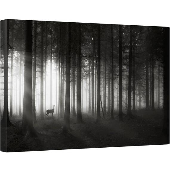 Tablou canvas - Cerb, Cerb, Soare, Dimineata, Padure, Pomi, Ceata, 40 x 60 cm - - Roveli