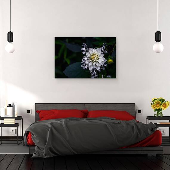 Tablou canvas - Floare de Dalie, Floare, Macro, Gradina, Petale, Alb, Dahlia, 60 x 90 cm - 3- Roveli