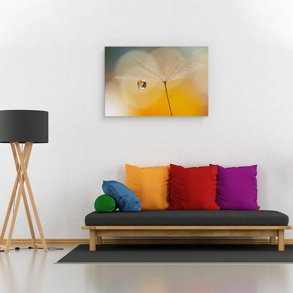 Tablou canvas - Muzica de Noapte, Papadie, Pene, Floare, 40 x 60 cm - 2- Roveli