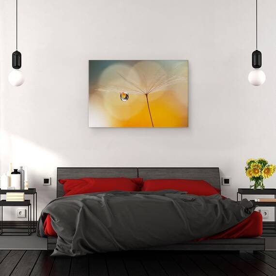 Tablou canvas - Muzica de Noapte, Papadie, Pene, Floare, 40 x 60 cm - 3- Roveli