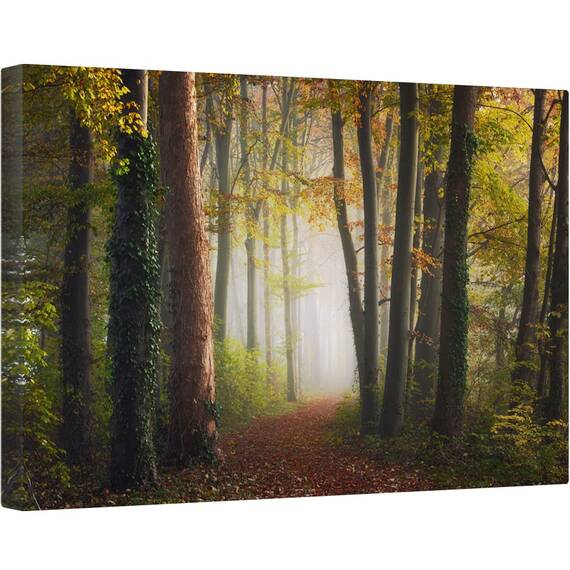 Tablou canvas - Padurea Colorata de Toamna, Drum, Mod, Perspectiva, Poteca, 80 x 120 cm - - Roveli