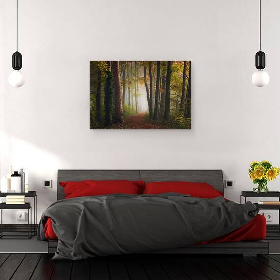 Tablou canvas - Padurea Colorata de Toamna, Drum, Mod, Perspectiva, Poteca, 80 x 120 cm - 3- Roveli