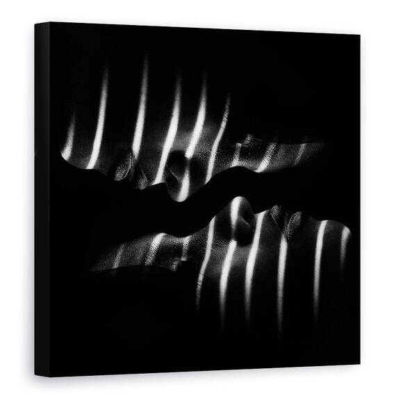 Tablou canvas - Puteri, Fata, Fete, Zebra, Dungi, Linii, Intunecos, 60 x 60 cm - - Roveli