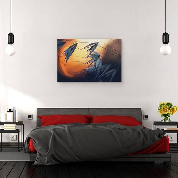Tablou canvas - Apus de Soare, Seminte, Macro, Semanatura, 40 x 60 cm - 3- Roveli