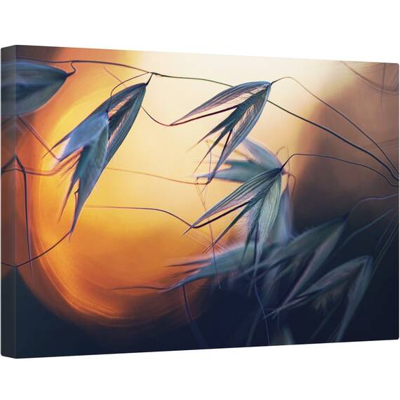 Tablou canvas - Apus de Soare, Seminte, Macro, Semanatura, 80 x 120 cm - - Roveli