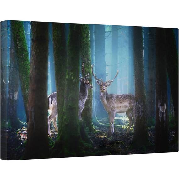 Tablou canvas - Cerbi, Animal, Coarne de Cerb, Padure, 60 x 90 cm - - Roveli