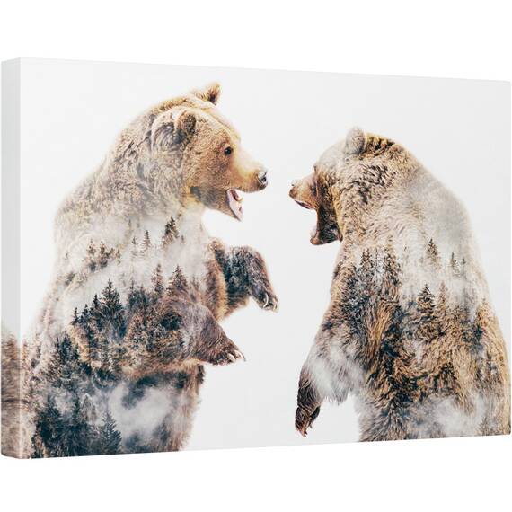 Tablou canvas - Conflicte Salbatice, Ursi, 60 x 90 cm - - Roveli