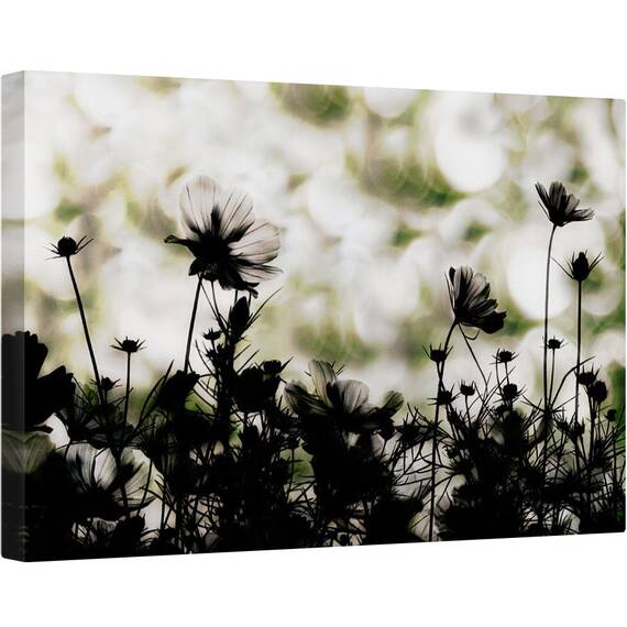 Tablou canvas - Corul de Toamna, Tonifiat, Flori, Japonia, Lunca, Gradina, Toamna, 60 x 90 cm - - Roveli