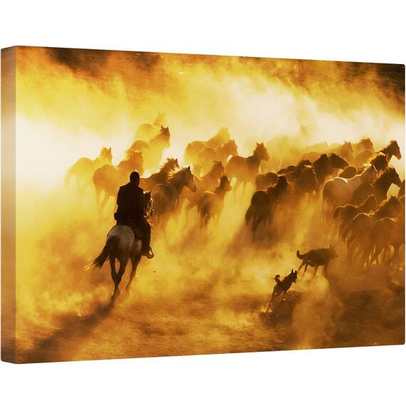 Tablou canvas - Cowboy, Animal, Cal, Actiune, Calatorie, 40 x 60 cm - - Roveli