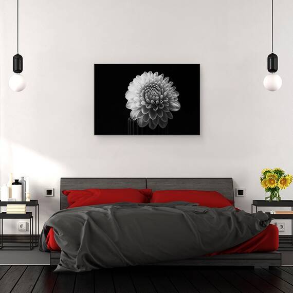 Tablou canvas - Dalia, Dahlia, Floare, Alb-Negru, 40 x 60 cm - 3- Roveli