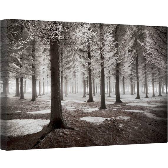 Tablou canvas - Debutul Iernii, Padure, Iarna, Zapada, Gheata, Pomi, Racoare, 60 x 90 cm - - Roveli
