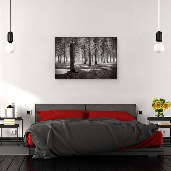 Tablou canvas - Debutul Iernii, Padure, Iarna, Zapada, Gheata, Pomi, Racoare, 60 x 90 cm - 3- Roveli