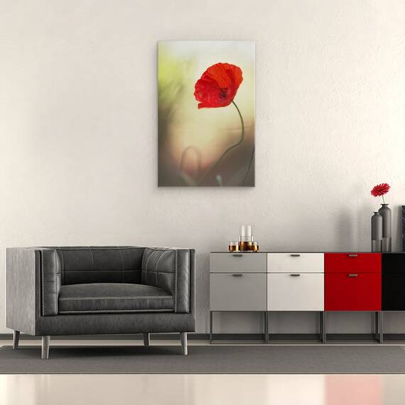 Tablou canvas - Flori de Maci, Rosu, Idila, Moale, Iubire, Patima, 60 x 90 cm - 2- Roveli