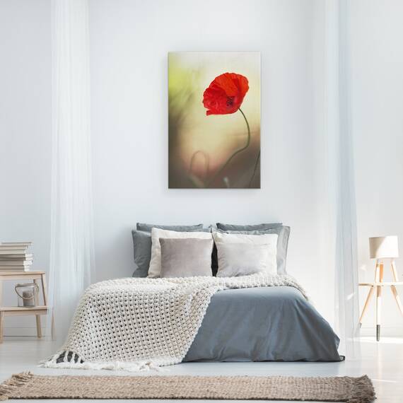 Tablou canvas - Flori de Maci, Rosu, Idila, Moale, Iubire, Patima, 60 x 90 cm - 3- Roveli