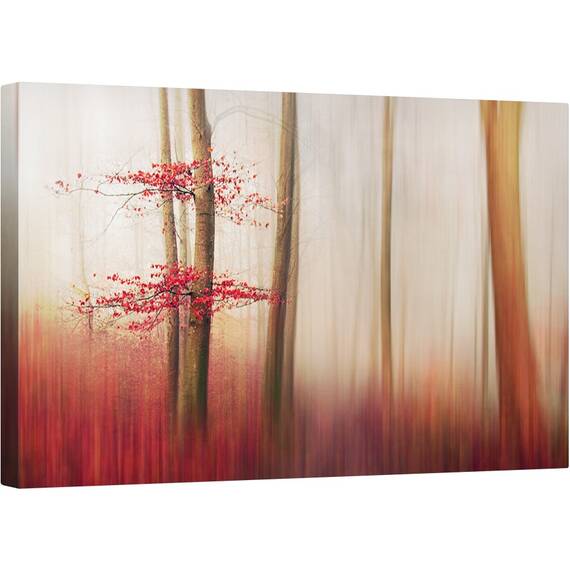 Tablou canvas - Frunze Rosii, Toamna, Infrangere, Rosu, Frunze, Danemarca, Padure, 50 x 80 cm - - Roveli