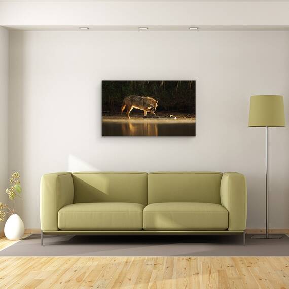 Tablou canvas - Joc de Dimineata, Natura, Animal, Salbatic, Fauna, sacal, Lup, 50 x 80 cm - 2- Roveli