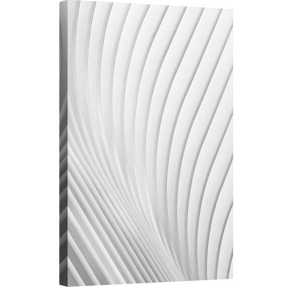 Tablou canvas - Liniile Calatrava, Aripa, Calatrava, Alb, Coaste, Curba, Linia, 80 x 120 cm - - Roveli