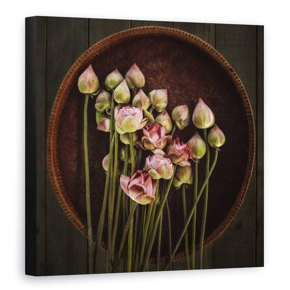 Tablou canvas - Lotus, Floare, Roz, Thailanda, Natura Moarta, Castron, 60 x 60 cm - - Roveli