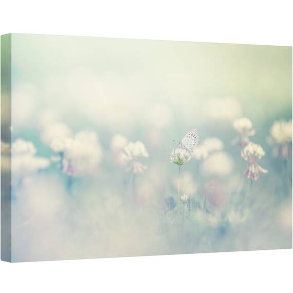 Tablou canvas - Lumea Mica, Macro, Fluture, Moale, Floare, Gradina, 60 x 90 cm - - Roveli